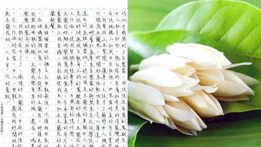 玉蘭花暗喻父偷情!律師:孩子目睹爸媽外遇 打擊跟家暴一樣「花上一生來療癒」