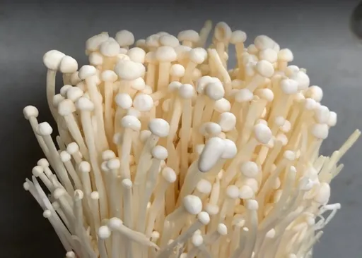 金針菇總能明天見 農委會解惑營養吸收沒