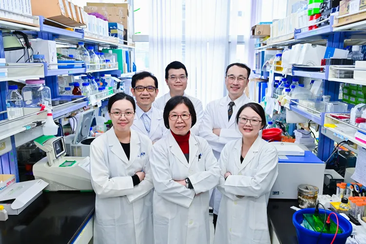 研究團隊合影。陽明交大提供