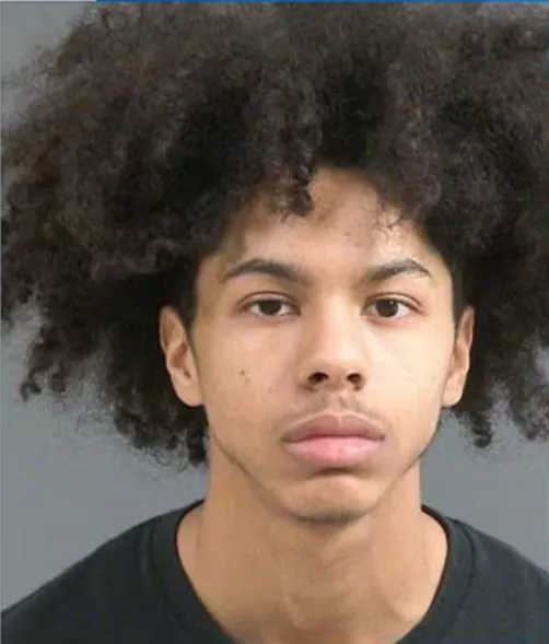 警方已拘捕持槍的古茲馬丁。翻攝