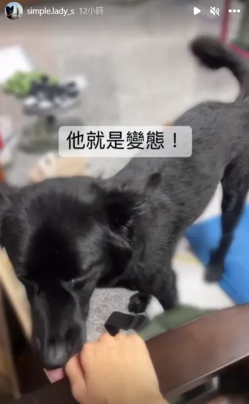 舔臀後又進攻手。翻攝自內內IG