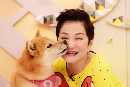 張小燕最萌助理主持過世了！「柴犬Q將」罹淋巴癌不治