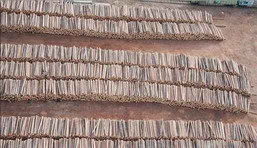 中澳貿易融冰!北京18日恢復進口澳洲木材