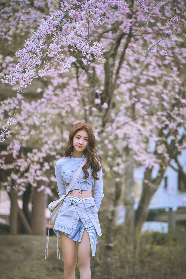 韓菲在櫻花樹下拍攝MV，畫面美不勝收。駿馬客工作室提供