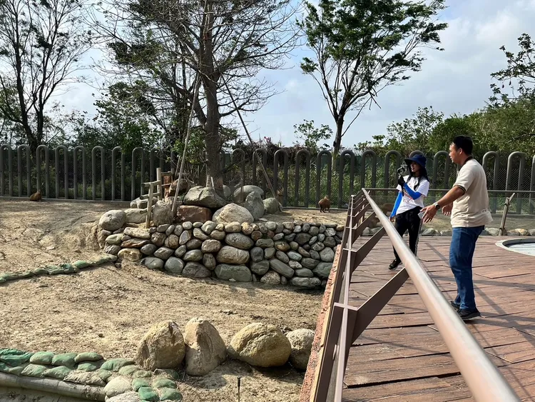 園方除了專人解說，其他員工站遠遠不打擾。園方提供