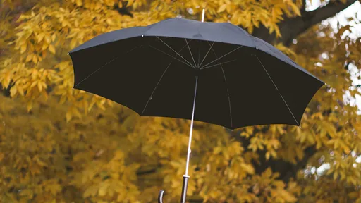 4歲童「撐雨傘跳下26樓」 模仿卡通情節奇蹟保命