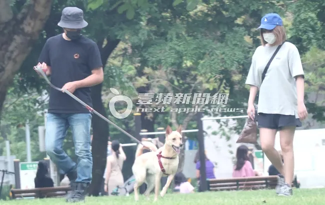 好天氣「童協CP」一起出來同框遛狗踏青。特勤中心攝