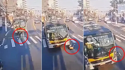 她綠燈走斑馬線卻被當場輾斃 公車司機釀禍稱「被它遮了眼」