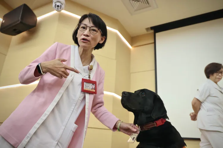 劉曉菁表示，Oba是她的斜槓人生。林林攝