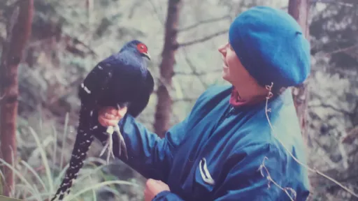 首次發現帝雉巢！美籍女博士心痛　慘遭台灣夫劈腿盜賣房產
