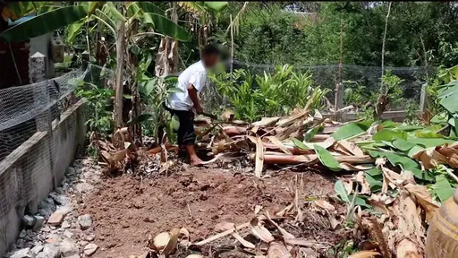 14歲少女戀愛受阻「捅死富奶奶」 聯手15歲毒男友揮刀奪命