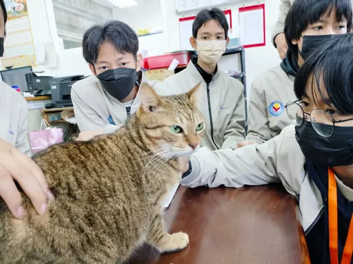 台灣毛寶貝化身外交大使 泰國學童樂學動保及生命教育