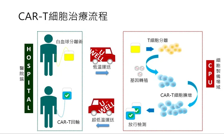 CAR-T細胞治療流程。陳宇欽醫師提供