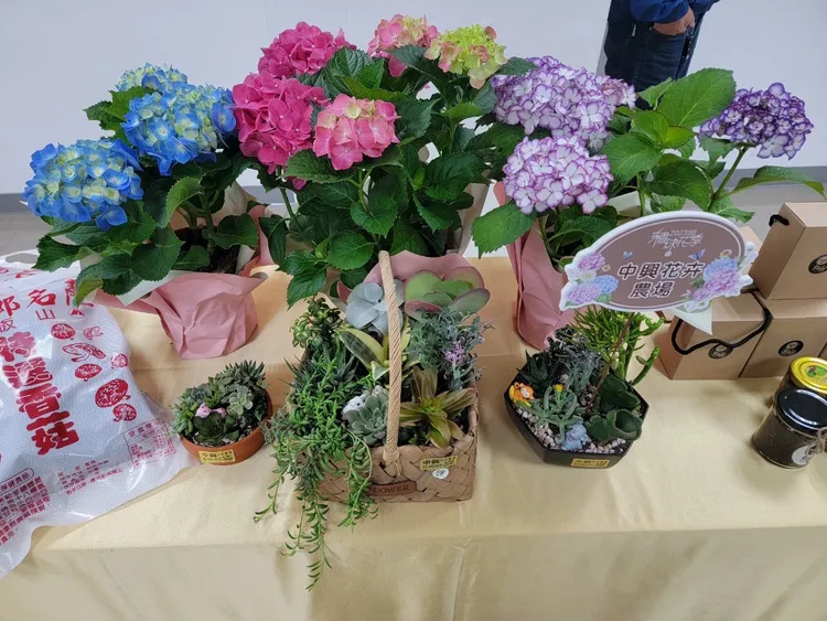 繡球花及周邊商品。桃園市府提供