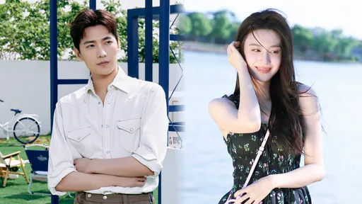 楊洋愛到分不開!王楚然連續3天人肉快遞到酒店