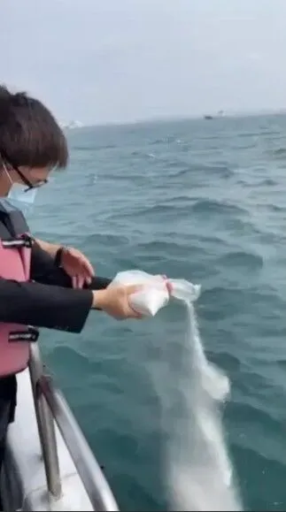 李卓軒將父親李坤城的骨灰撒入大海。翻攝李坤城臉書

