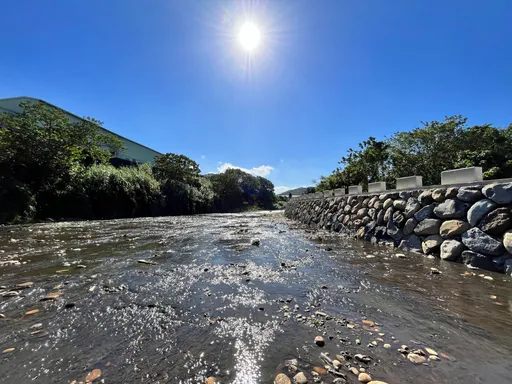水色含紅土奔流 八里水仙溪正名「紅水仙溪」