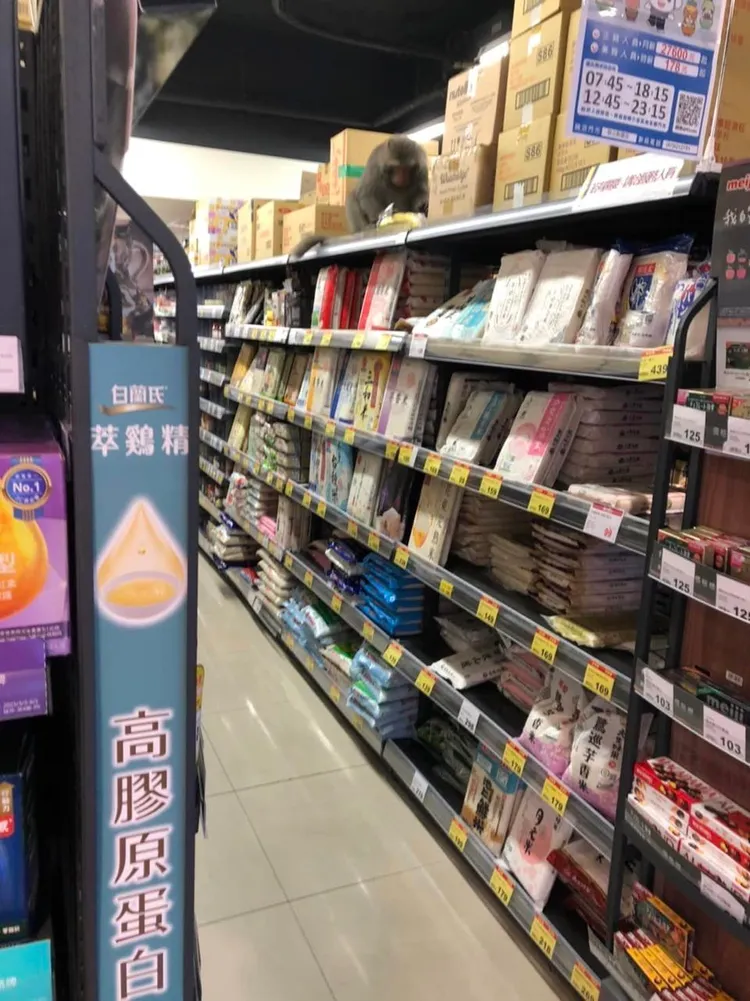 有網友PO出有猴子在柴山附近的全聯超市貨架上。讀者提供