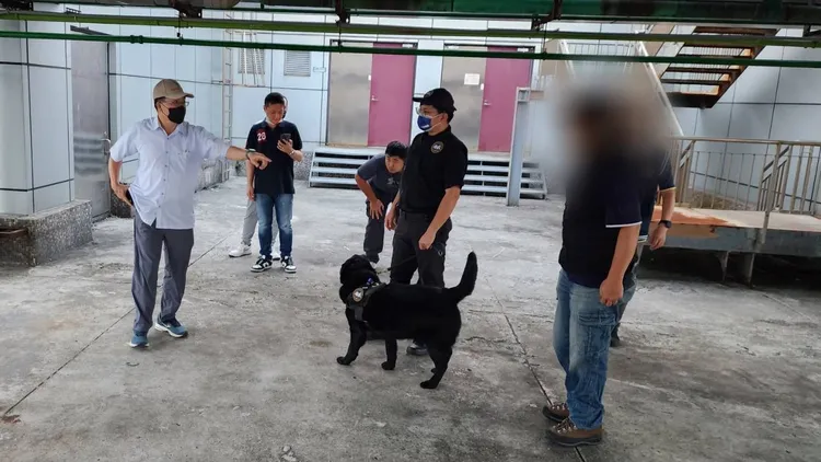 警方與警犬詳細搜查。中和警分局提供
