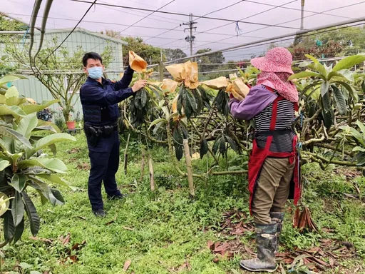 農業移工將提高至1.2萬人　最快6月上路