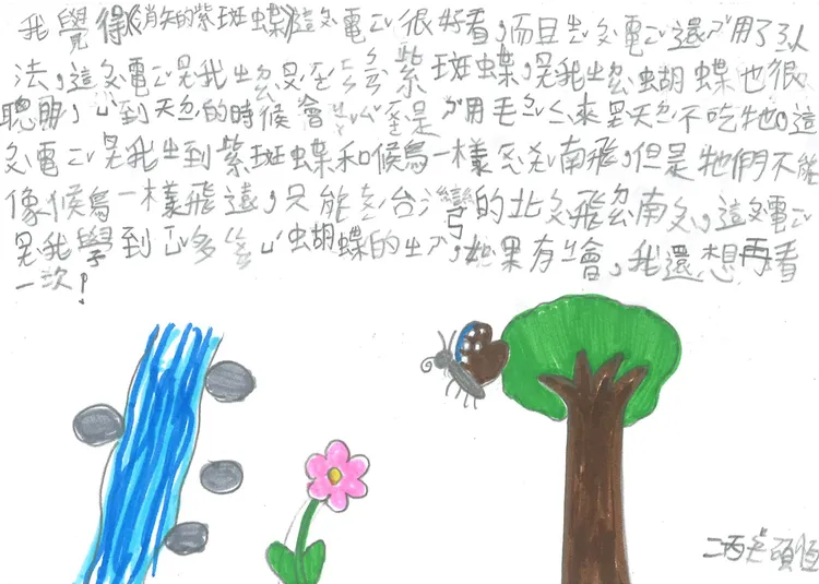 小學生透過片中紫斑蝶的故事理解到生命的韌性，並直呼想再看一次 。台北市忠孝國小陳建榮老師提供