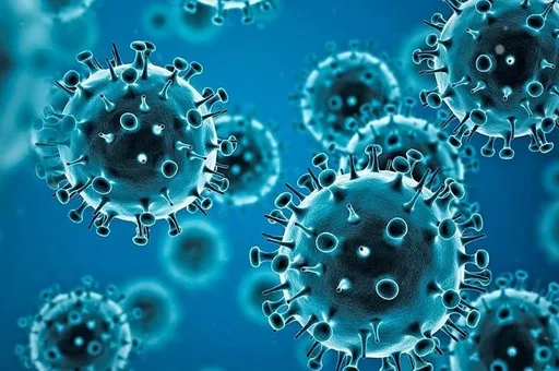 研究:染Omicron半年後再染疫機率增 二度確診者多為輕症