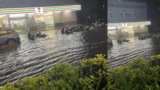 桃園暴雨被轟「還在睡」 張善政:嚴重的話我會出現