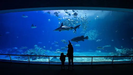 屏東海生館收炸彈恐嚇信 警方掌握IP位址追寄信人