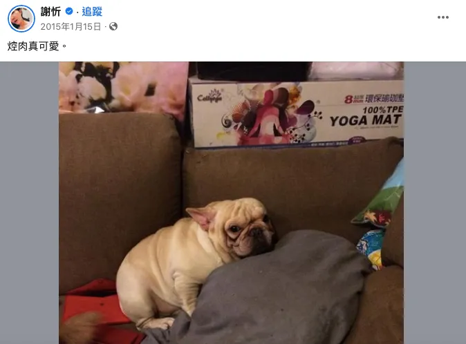 謝忻當年常幫小甜甜照顧愛犬。翻攝謝忻臉書