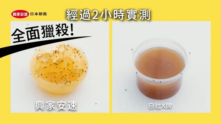 夏天來臨，果蠅也大舉入侵，在家中群魔亂舞，想殺殺不盡，食物堆又生，令人不堪其擾！興家安速「驅蠅神器」全面獵殺，不留痕跡。