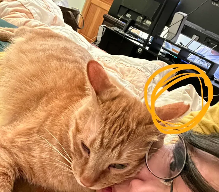 統神分享陳橘左耳有剪耳。取自統神臉書