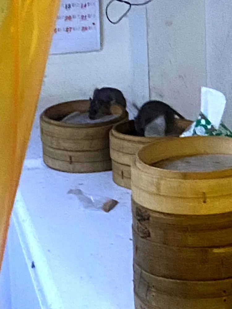 顧客赫見2隻老鼠鑽進蒸籠大啖美食。翻攝自臉書「爆怨公社」