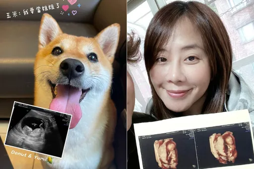 秦綾謙二婚44歲自然懷孕!坦言很惶恐曾考慮「要不要生下來」