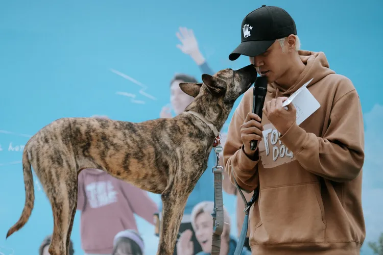 羅志祥（右）與浪浪互動親密。三立提供