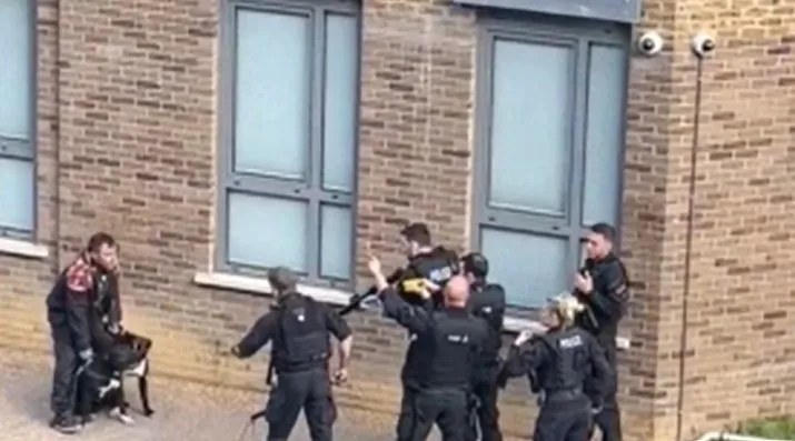 有民眾質疑，有這麼嚴重嗎？為了2條狗出動這麼大的陣仗，還把2條狗都殺了。翻攝twitter/eastlondonPoplarCommercialRoad