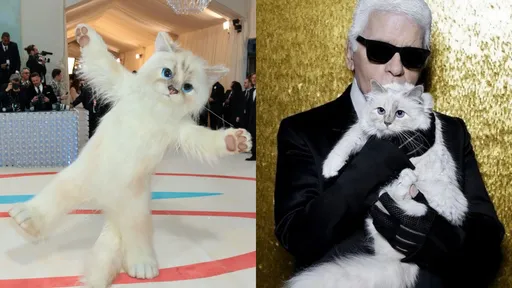 Met Gala｜猜猜我是誰　奧斯卡影帝不顧形象扮「老佛爺」愛貓嗨翻紅毯