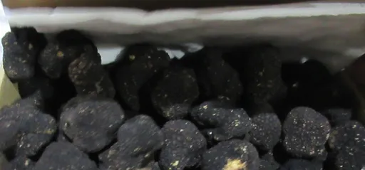 不良食品|饕客張大眼!歐洲進口黑松露重金屬超標 這業者違規佔大宗