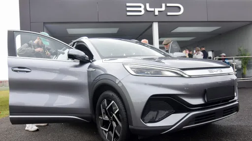 不是當獵人就是當食物　中國電動車市場掀達爾文式競爭