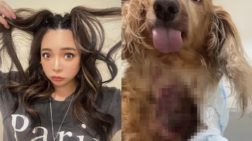 小甜甜遭前夫指控虐狗 曬愛犬影片表清白!怒嗆:什麼都能造假