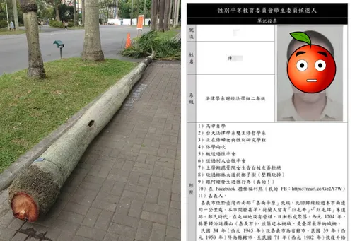 台大性平會候選人「跟阿嬤性交」 驚!現任委員名叫「鮭魚卵」