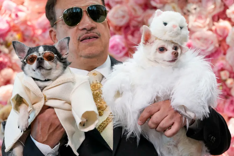魯比歐親自帶著小狗模特兒出場。 美聯社