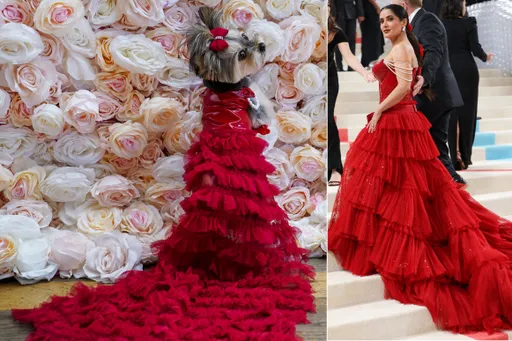 寵物穿華服走紅毯 神還原「時尚奧斯卡」盛況