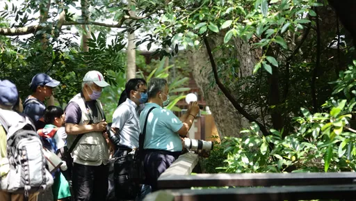 勿忘疫情！最近緩升日增116本土15死　羅一鈞估「它」將成第4波魔王