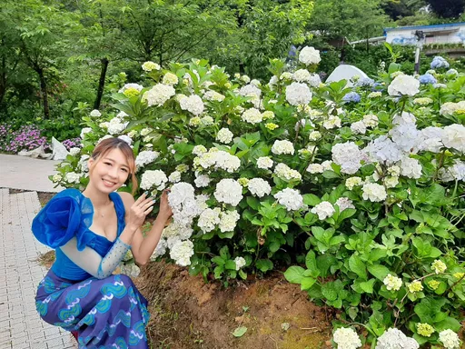 萬里萬坪繡球花海盛開美翻了 網紅秘徑新人拍婚紗抽萬元禮品