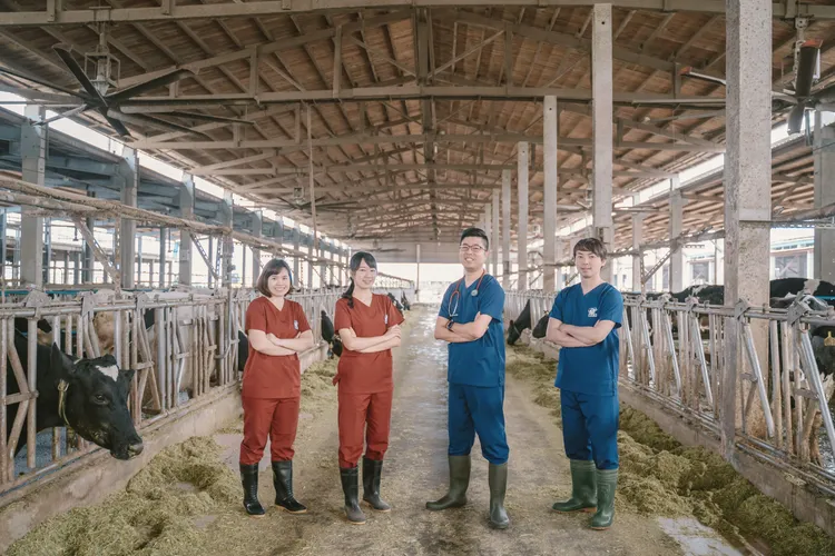 (由左至右)營養師霈暄、藥師庭瑄、乳牛獸醫阿嘉、乳牛營養師宗諭為牛隻健康把關。業者提供