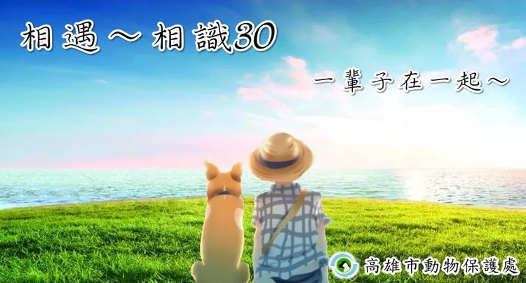 高雄市首創認養動物有30天試養期。讀者提供