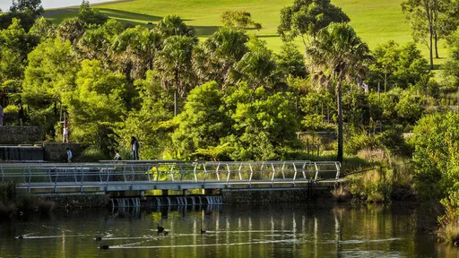 遛狗驚見公園出現「動物內臟」　毒餌？專家卻說是好消息