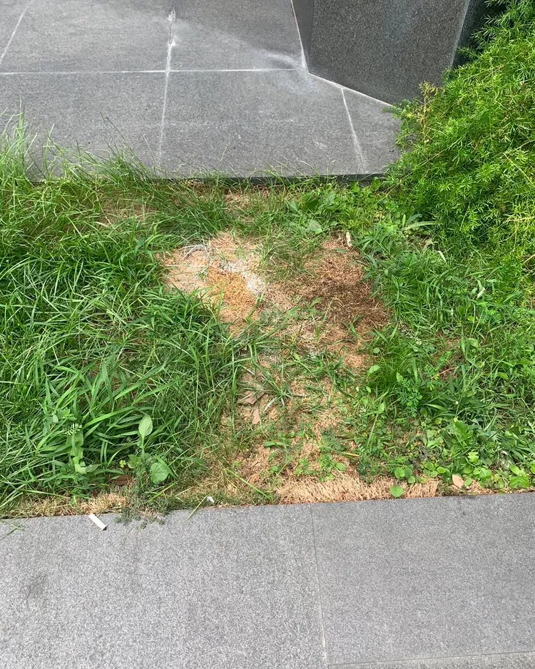 法醫高大成在案發現場拍下一張照片，並提出質疑。翻攝《高大成》粉絲頁