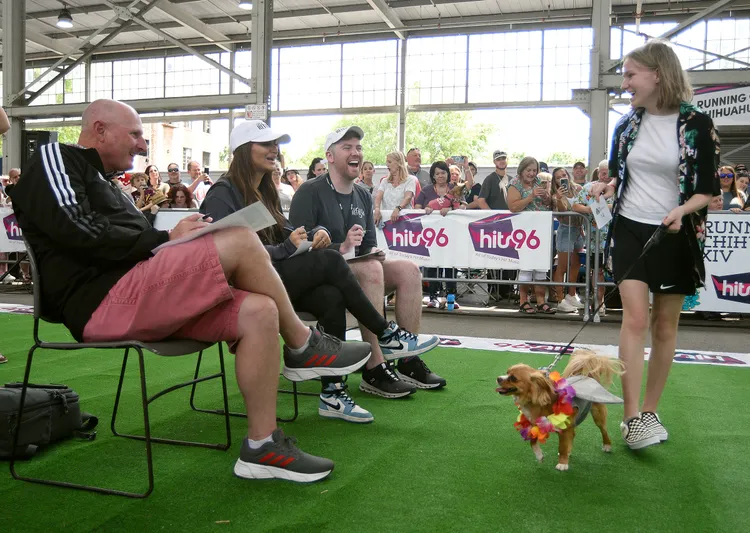 服裝比賽的評審也被小狗逗笑了。美聯社/Chattanooga Times Free Press