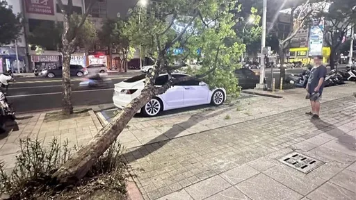 好衰！新竹特斯拉掉天坑、高雄的被樹砸　網：拉拉應該要去拜媽祖